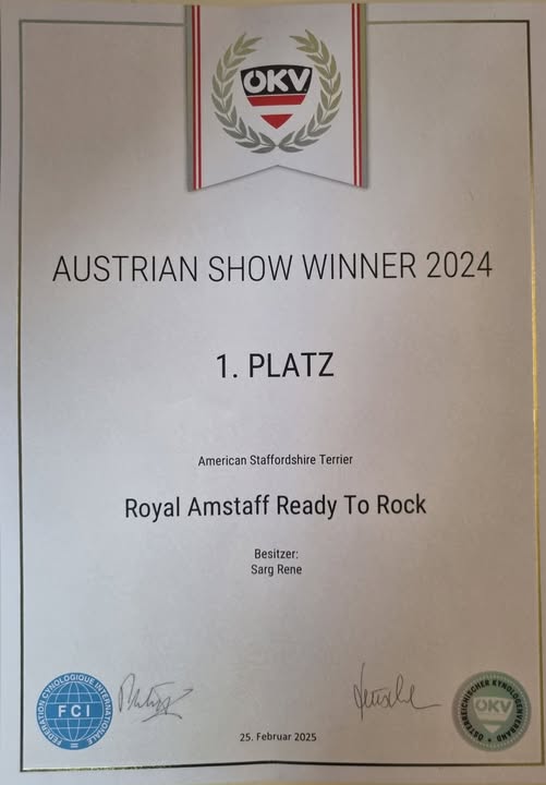 Austrian Show Winner 2025