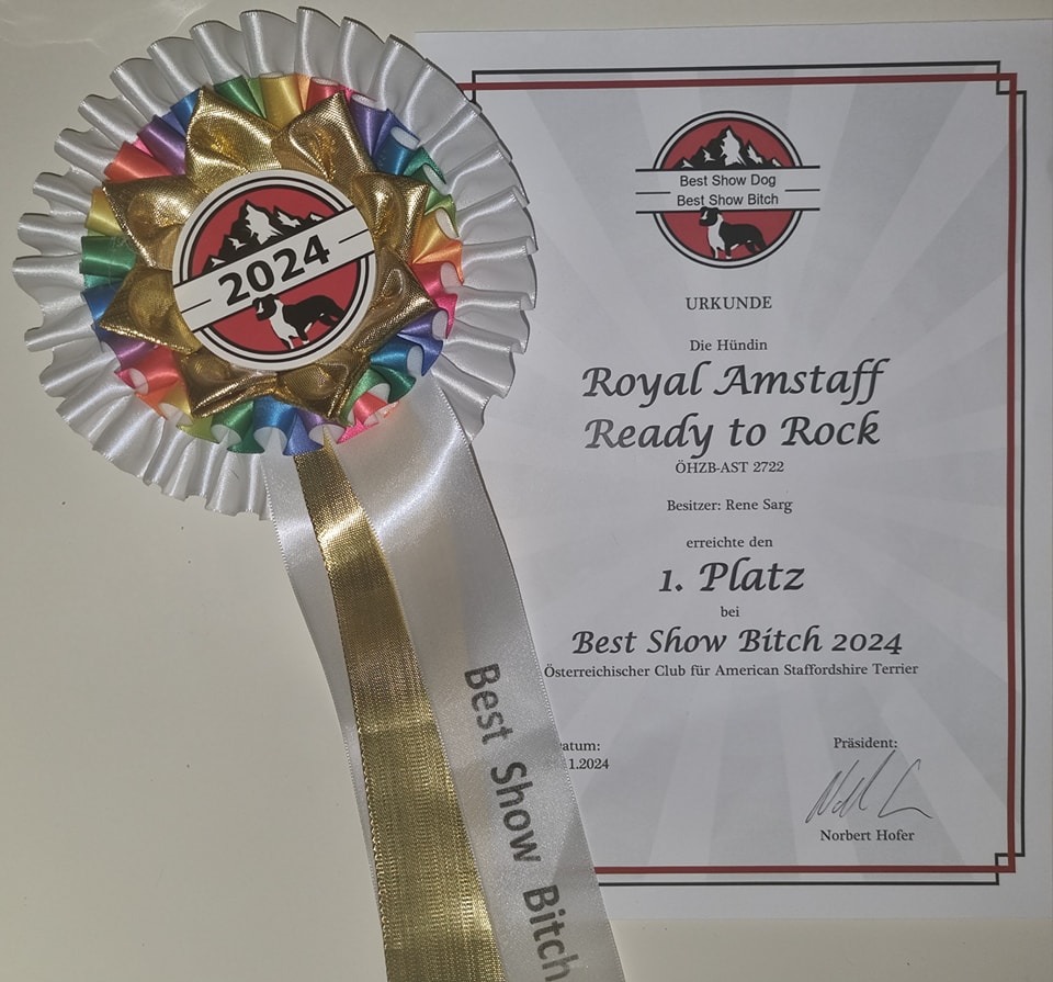 Best Show Bitch 2024